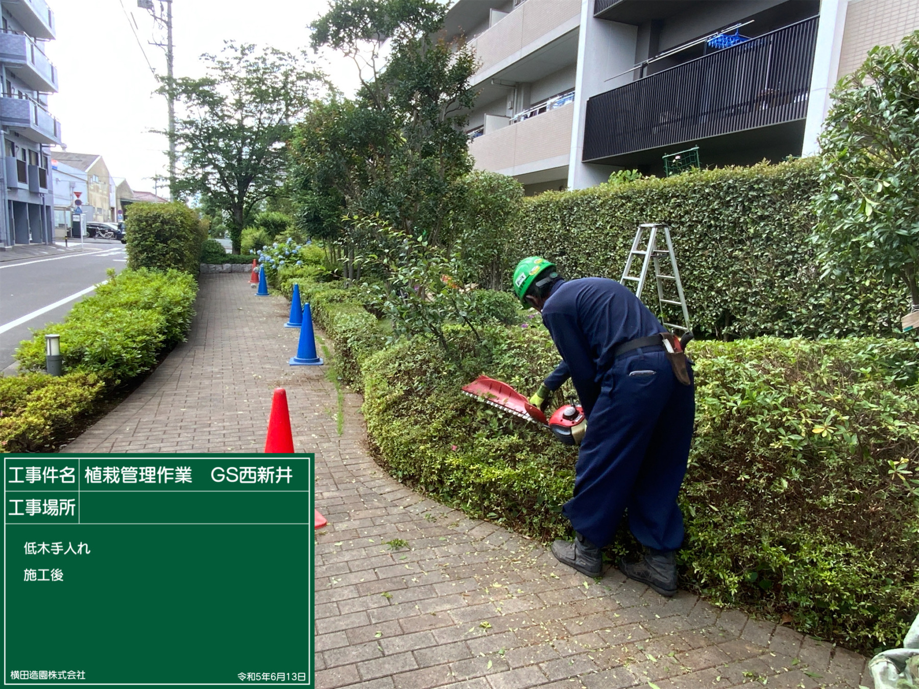 自主管理歩道の手入れ作業